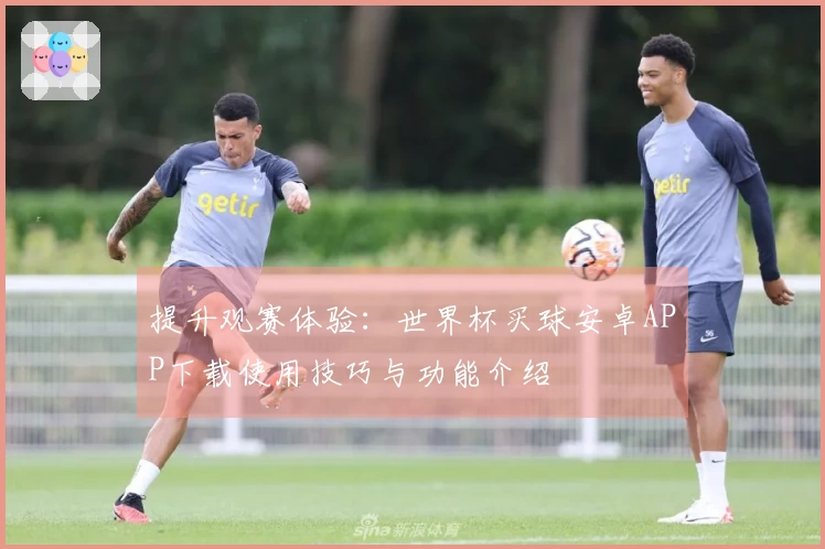 提升观赛体验：世界杯买球安卓APP下载使用技巧与功能介绍