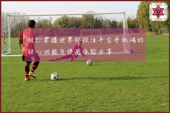 轻松掌握世界杯投注平台手机端的核心功能与使用体验分享