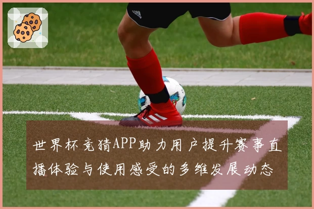 世界杯竞猜APP助力用户提升赛事直播体验与使用感受的多维发展动态
