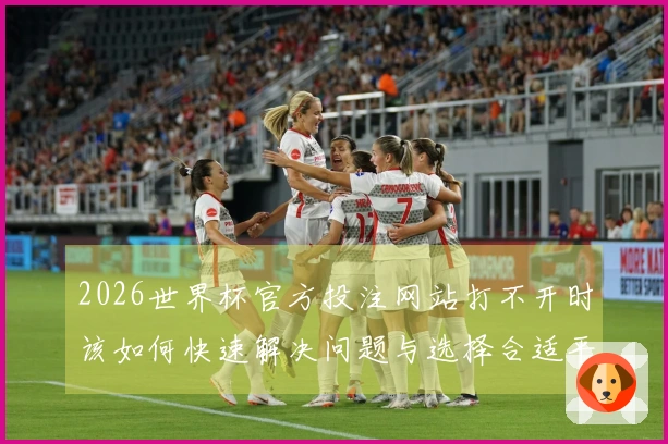2026世界杯官方投注网站打不开时该如何快速解决问题与选择合适平台