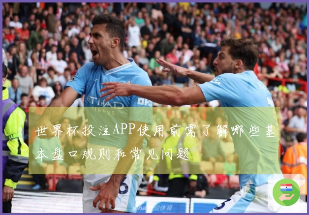 世界杯投注APP使用前需了解哪些基本盘口规则和常见问题