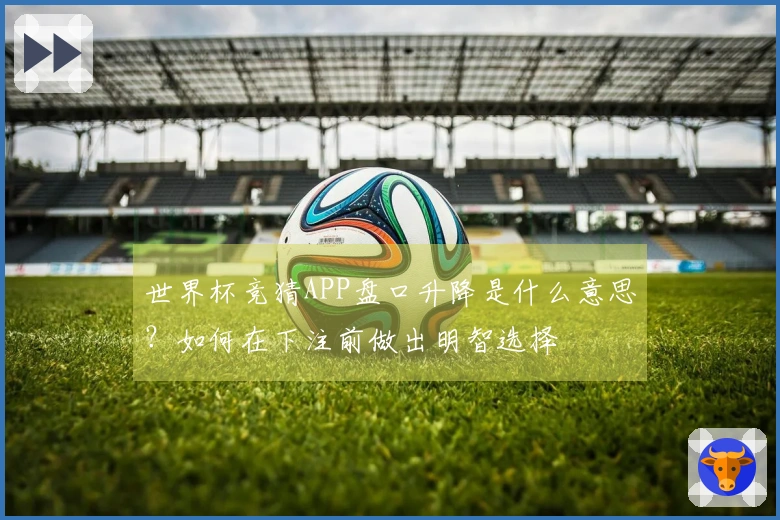 世界杯竞猜APP盘口升降是什么意思？如何在下注前做出明智选择