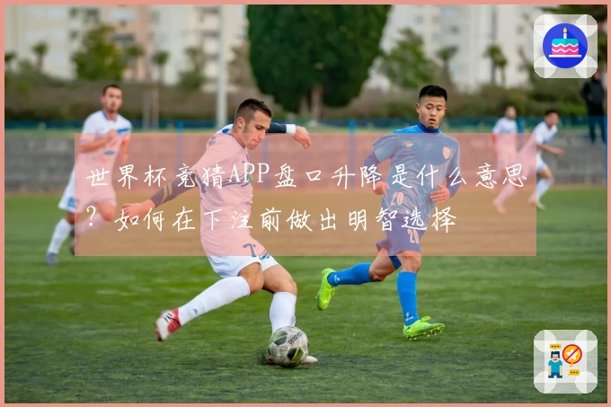 世界杯竞猜APP盘口升降是什么意思？如何在下注前做出明智选择