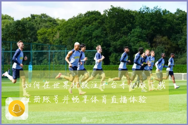 如何在世界杯投注平台手机版下载注册账号并畅享体育直播体验