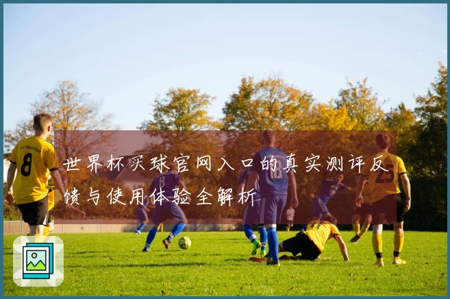世界杯买球官网入口的真实测评反馈与使用体验全解析