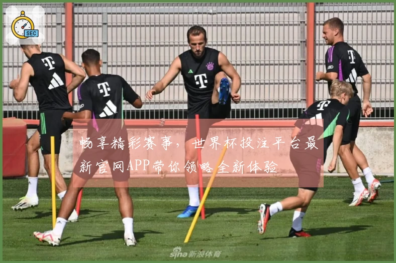 畅享精彩赛事，世界杯投注平台最新官网APP带你领略全新体验