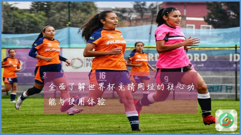 全面了解世界杯竞猜网址的核心功能与使用体验