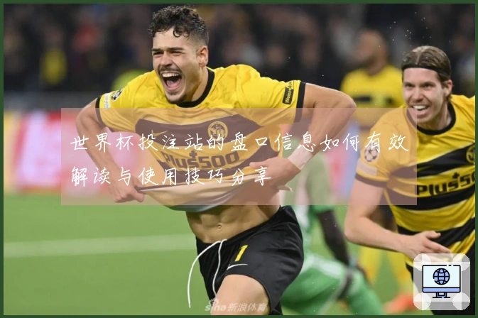 世界杯投注站的盘口信息如何有效解读与使用技巧分享