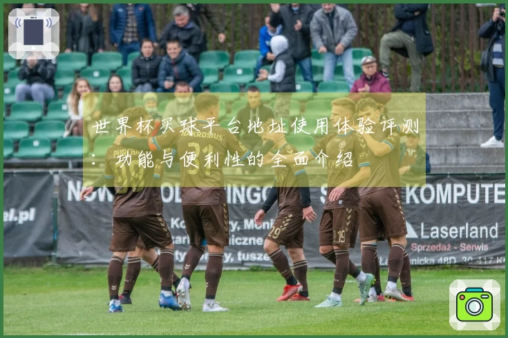 世界杯买球平台地址使用体验评测：功能与便利性的全面介绍